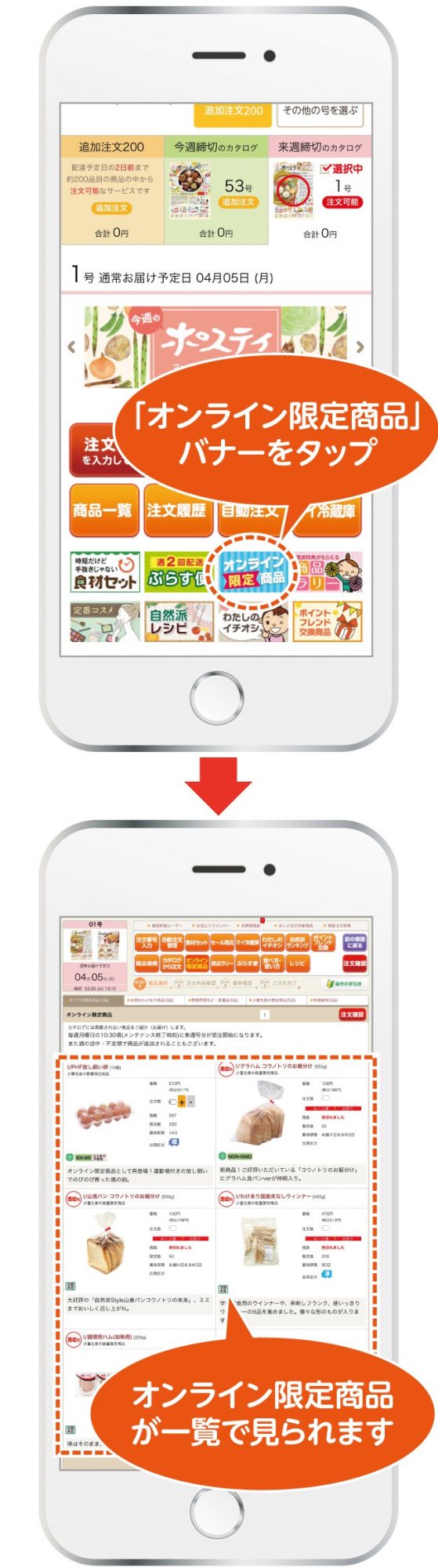 オンライン限定商品注文方法