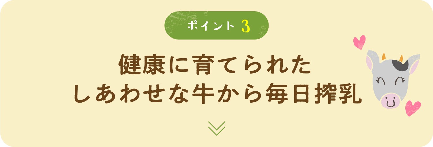 健康に育てられたしあわせな牛から毎日搾乳