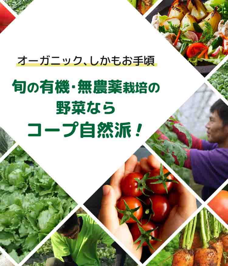 オーガニック、しかもお手頃！旬のオーガニック・無農薬栽培の野菜の宅配ならコープ自然派！