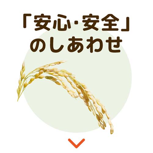 「安心・安全」のしあわせ