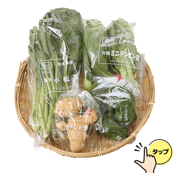 季節のお野菜4-5品セットタップあり