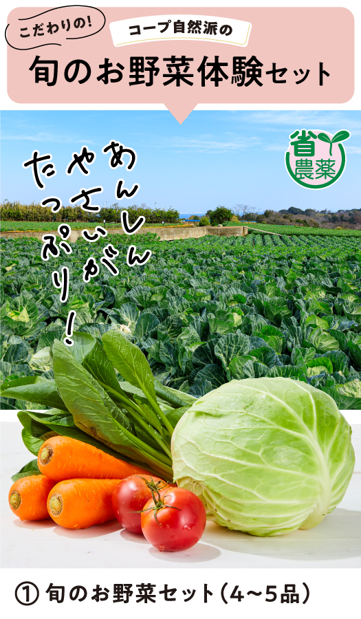 ワンコイン旬のお野菜セット